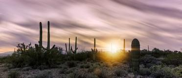 Arizona Desert